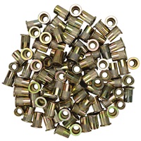 3/8"-16 Zinc-Plated Steel Rivet Nuts - 100Pk